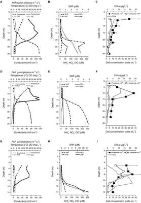 Influence of Environmental Drivers and Potential Interactions on the Distribution of Microbial Communities From Three Permanently Stratified Antarctic Lakes